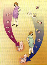 哪些人可以在四平做供卵试管婴儿？有哪些先决条件？