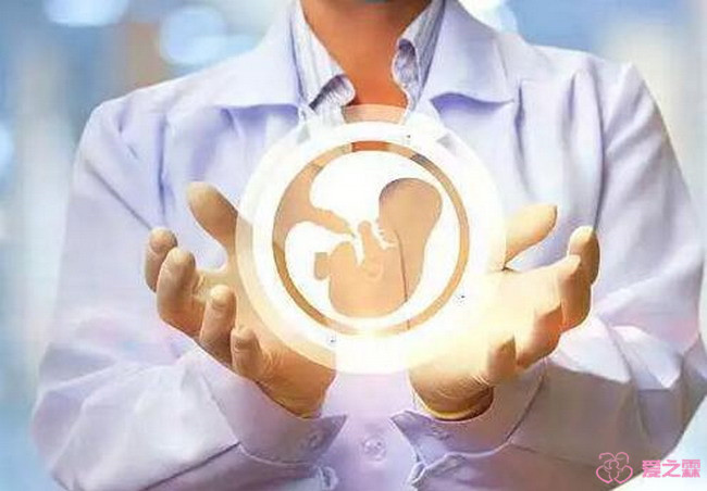 上海做借卵供卵代怀代生医院，教你如何选择医院!
