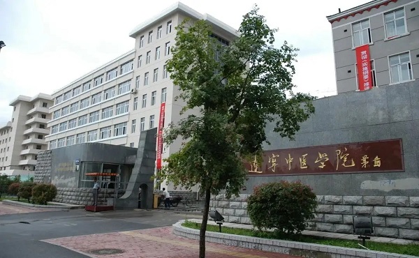 山大供卵试管成功率有多大