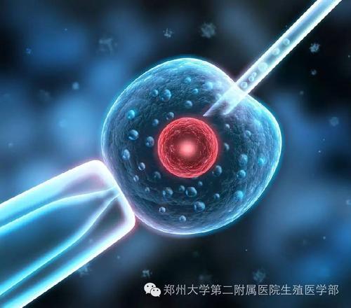 空军总医院代怀联系方式医生