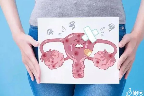 借卵包生男孩胚胎长成囊胚_供卵代生包性别囊胚、鲜胚、冻胚,哪个成功率最高