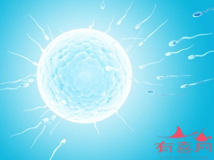 长春代生价格表技术运用到的方法,不打算了解一下+
